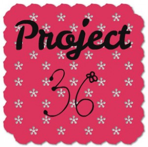 Project 36 Update
